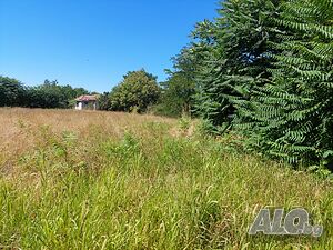 Парцел в края на селото Sale 1770 sq. m. Regulated (RLE) Without electricity Without water | Land for development, Investment projects | Pavel