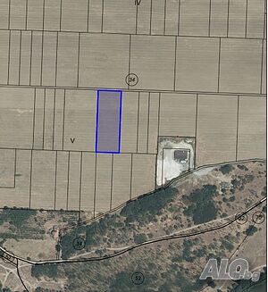 Продавам земеделска земя 7 дка Agricultural land 6997 sq. m. Fifth category | Agricultural land, Orchards, Vineyards, Forests | мест. Гол.Текелник Kostievo