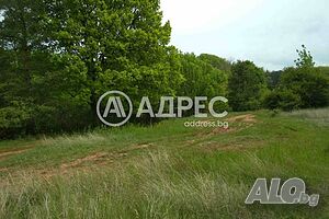 Парцел/Терен, Войнеговци, 8930 кв.м., 705470 € Sale 8930 sq. m. Not regulated With electricity Without water | Land for development, Investment projects | Voynegovtsi