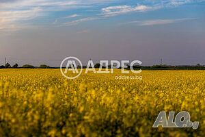 Парцел/Терен, Горни Богров, 900 кв.м., 48000 € Sale 900 sq. m. Not regulated | Land for development, Investment projects | Gorni Bogrov