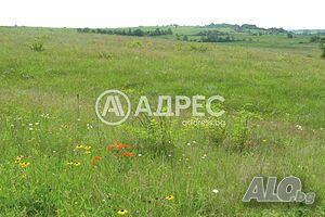 Парцел/Терен, Доброславци, 2368 кв.м., 201280 € Sale 2368 sq. m. Not regulated Without electricity Without water | Land for development, Investment projects | Dobroslavtsi