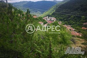 Парцел/Терен, продажба, Левочево Sale 2510 sq. m. Regulated (RLE) With electricity Water pipe | Land for development, Investment projects | Levochevo