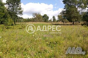 Дворно място в с. Денница Sale 700 sq. m. Regulated (RLE) With electricity Water pipe | Land for development, Investment projects | Dennitsa