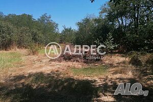 Парцел в с. Козарево Sale 800 sq. m. Regulated (RLE) Without electricity Without water | Land for development, Investment projects | Kozarevo