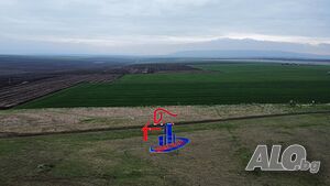 Урбанизиран парцел за жилищно строителство в село Новосел на 15 км от град Шумен Sale 900 sq. m. Regulated (RLE) Without electricity Without water | Land for development, Investment projects | Novosel