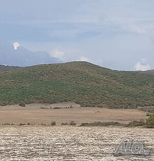 Страхотен парцел Sale 27000 sq. m. Regulated (RLE) Without electricity Without water | Land for development, Investment projects | Местност Кокарджа Gyulyovtsa