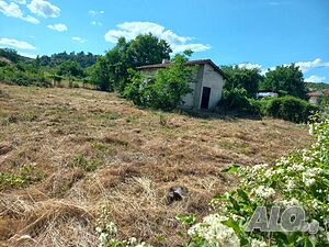 Къща в Брястово 1 - storey 50 sq. m. built-up area 1000 sq. m. courtyard | Houses / Villas | Bryastovo