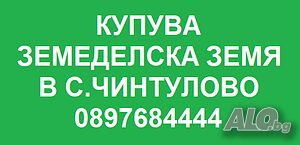 Купува земеделска земя в с. Чинтулово | Looking to buy | Chintulovo