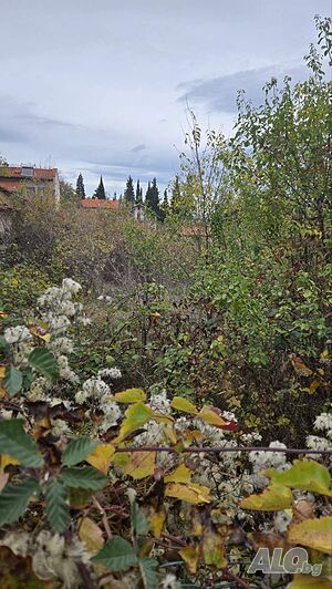 УПИ в местността Баткун Sale 1578 sq. m. Regulated (RLE) With electricity Water pipe | Land for development, Investment projects | местността ”Баткун” Patalenitsa