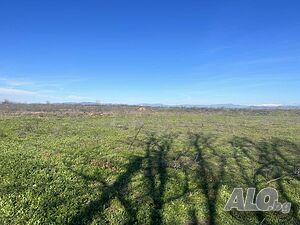 Парцел УПИ в село Добровница Sale 689 sq. m. Regulated (RLE) Without electricity Without water | Land for development, Investment projects | Dobrovnitsa