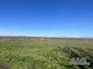 Парцел УПИ в село Добровница Sale 769 sq. m. Regulated (RLE) Without electricity Without water | Land for development, Investment projects | Dobrovnitsa