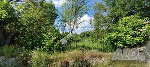 Парцел, 2 668 кв.м, област Шумен, с. Зайчино ореше Sale 2668 sq. m. Regulated (RLE) | Land for development, Investment projects | Zaychino oreshe