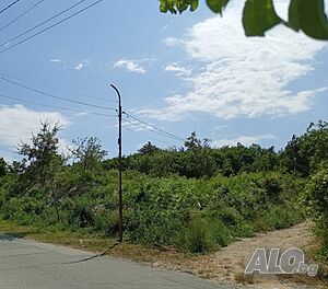 Парцел с виза за проектиране в К. К. „БЯЛАТА ЛАГУНА“ Sale 1600 sq. m. Regulated (RLE) Without electricity Without water | Land for development, Investment projects | Kavarna