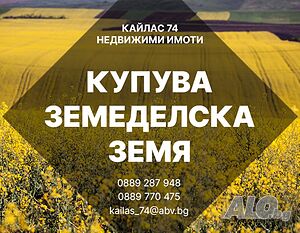 Купува обработваема земеделска земя | Looking to buy | Popovo