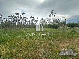 ПРОСТОРЕН ПАРЦЕЛ В С. НЕОФИТ РИЛСКИ, обл. ВАРНА! ЗОНА Ж! ТОК И ВОДА! Sale 1987 sq. m. Not regulated | Land for development, Investment projects | Neofit Rilski
