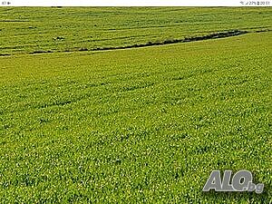 Парцел м. Отманли Sale 500 sq. m. Not regulated Without electricity Without water | Land for development, Investment projects | Otmanly (locality)