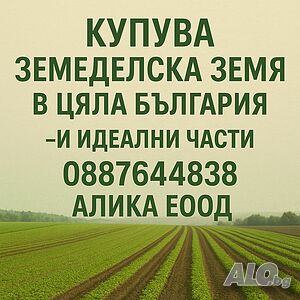 Купувам земеделска земя в област Плевен | Looking to buy | Pleven