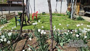 Къща в село Розовец 2 - storey 100 sq. m. built-up area 500 sq. m. courtyard | Houses / Villas | Rozovets