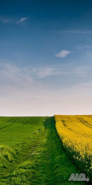 Продавам земя в с. Караново Agricultural land 40000 sq. m. Third category | Agricultural land, Orchards, Vineyards, Forests | Коджа Дере Karanovo