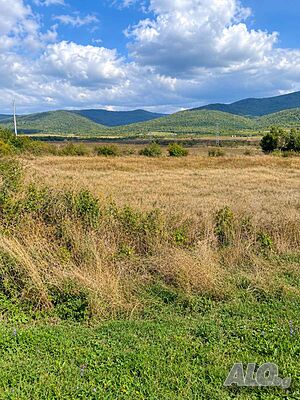Парцел в с. Оризаре Sale 1505 sq. m. Regulated (RLE) With electricity Water pipe | Land for development, Investment projects | Orizare