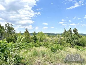 Парцел за продажба с. Балван Sale 1160 sq. m. Regulated (RLE) Without electricity Without water | Land for development, Investment projects | Balvan