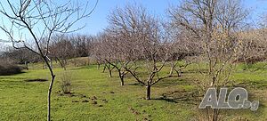 Парцел - с. Калипетрово Sale 1418 sq. m. Not regulated With electricity Water pipe | Land for development, Investment projects | Kalipetrovo