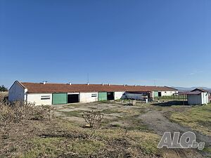 Селскостопански двор Farm 5500 sq. m. | Warehouses, industrial and agricultural properties  | Tenevo