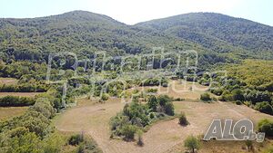 Земеделска земя в местност Вандовица на село Костенец Agricultural land 2808 sq. m. | Agricultural land, Orchards, Vineyards, Forests | Kostenets
