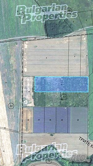 Парцел с водоизточник и ограда в землището на село Малка Поляна Agricultural land 9369 sq. m. | Agricultural land, Orchards, Vineyards, Forests | Malka polyana