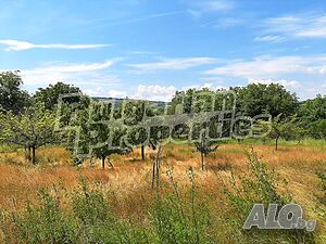 Просторен парцел с панорама между Лясковец и Велико Търново Sale 3275 sq. m. Regulated (RLE) | Land for development, Investment projects | Dobri dyal