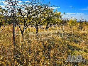 Атрактивен поземлен имот до конна база в с. Арбанаси Agricultural land 4852 sq. m. | Agricultural land, Orchards, Vineyards, Forests | Arbanasi