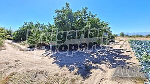 Регулиран парцел за бизнес или жилищно строителство в с. Цалапица Sale 3590 sq. m. Regulated (RLE) | Land for development, Investment projects | Tsalapitsa
