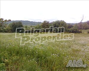 Парцел за застрояване в село Мамарчево Sale 6900 sq. m. Regulated (RLE) | Land for development, Investment projects | Mamarchevo