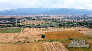 Голям парцел земя в село Горна Василица Sale 6066 sq. m. Regulated (RLE) | Land for development, Investment projects | Gorna Vasilitsa