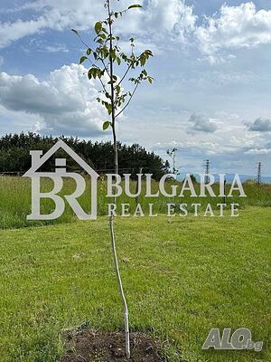 Парцел Градец Sale 3000 sq. m. Not regulated | Land for development, Investment projects | Gradets