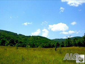 Голям парцел с панорамна гледка в село Въглевци, на 24 км южно от Велико Търново Sale 2500 sq. m. Not regulated | Land for development, Investment projects | Vaglevtsi