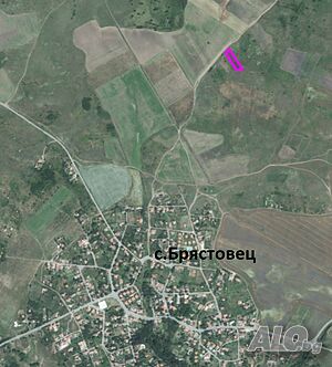 Продават се две лозета Agricultural land 5014 sq. m. Ninth category | Agricultural land, Orchards, Vineyards, Forests | Bryastovets