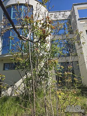 Публична продан от ЧСИ на имот в гр. Брезово | Other types of properties | Brezovo