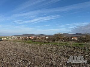 Публична продан от ЧСИ на Земеделска земя в с. Росен с. Росен, местност Малкия юрт Agricultural land 1000 sq. m. | Agricultural land, Orchards, Vineyards, Forests | Rosen