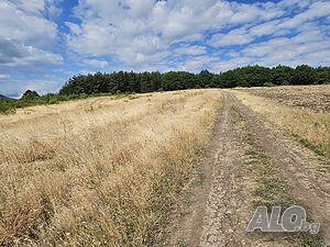 Публична продан от ЧСИ на Земеделска земя в гр. Банкя местност Бобош Agricultural land 2303 sq. m. | Agricultural land, Orchards, Vineyards, Forests | Bankya