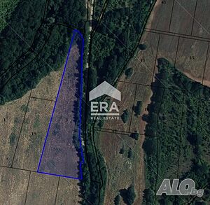 САМО В ЕРА! ЕРА Сити Център продава поземлен имот в землището на село Ново село. Sale 4700 sq. m. Not regulated Without electricity Without water | Land for development, Investment projects | Novo selo