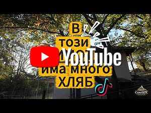 🏭 Промишлен имот с голям парцел | бивша пекарна | с. Първомайци 🏗️✨ Industrial premises 180 sq. m. | Warehouses, industrial and agricultural properties  | Parvomaytsi