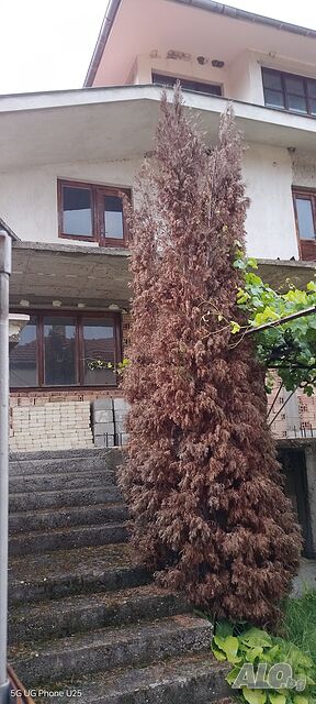 Пpодава се триетажна къща масивно строителство в с. Дунавци - само на 10 км от Казанлък 3 - storey 380 sq. m. built-up area 970 sq. m. courtyard | Houses / Villas | Dunavtsi