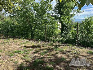 Инвестиционен парцел! Sale 1160 sq. m. Regulated (RLE) With electricity Without water | Land for development, Investment projects | Brestnik