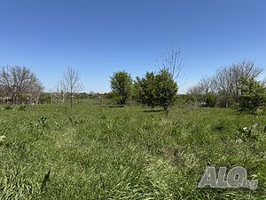 Дворно място (УПИ) в село Ливада Sale 775 sq. m. Regulated (RLE) Without electricity Own water source | Land for development, Investment projects | Livada