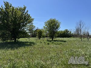 Дворно място (УПИ) в село Ливада Sale 715 sq. m. Regulated (RLE) Without electricity Without water | Land for development, Investment projects | село Ливада Livada