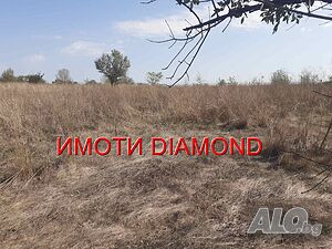 Дворно място в село Троян общ. Симеоновград Sale 2240 sq. m. Regulated (RLE) With electricity Without water | Land for development, Investment projects | Troyan