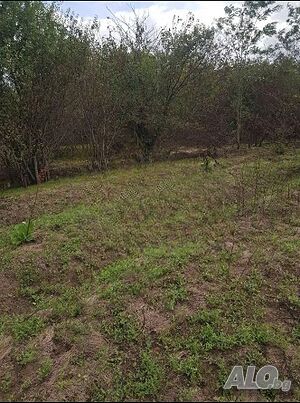 Продавам стара къща с дворно място 1 - storey 102 sq. m. built-up area 2500 sq. m. courtyard | Houses / Villas | Dabrava