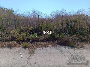 Продажба Парцел гр. Плиска Sale 1088 sq. m. Regulated (RLE) | Land for development, Investment projects | Pliska