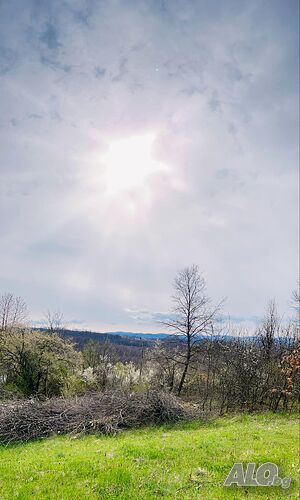 Продава поземлен имот в село Давери, Еленски балкан Sale 9000 sq. m. Regulated (RLE) Without electricity Without water | Land for development, Investment projects | Daveri